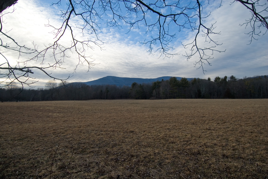 Woodstock - Field - 2